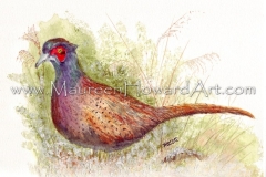 58-pheasant-28x20-300dpi