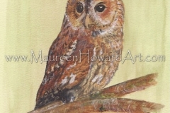 66-tawny-owl-19x26-150dpi