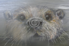 Otter-Silent-Swimmer