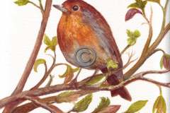 Robin-tree-print