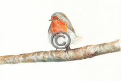 single-branch-robin