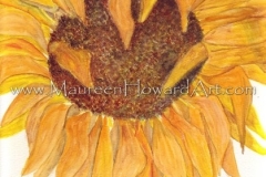 133-sunflower-20x29-300dpi